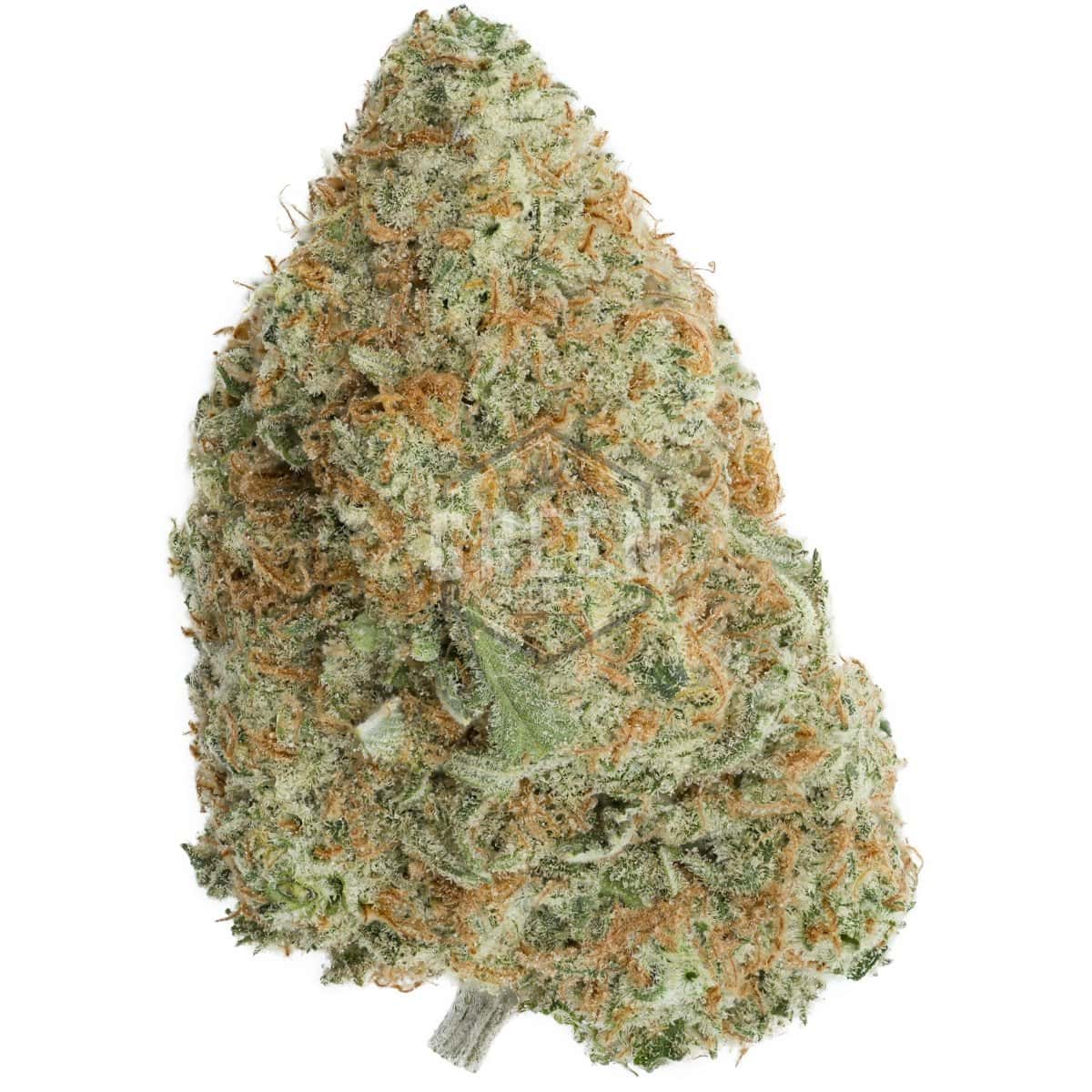 Durban Poison