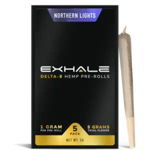 NORTHERN LIGHTS (5-PACK)